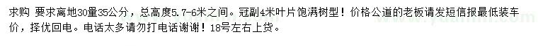 求購30量35公分銀海棗