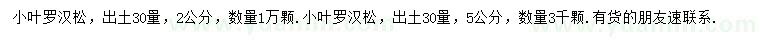 求購(gòu)30量2、5公分小葉羅漢松