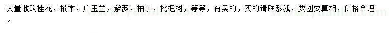 求購桂花、楠木、廣玉蘭等