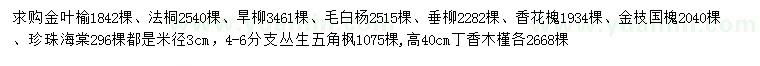 求購金葉榆、法桐、旱柳等