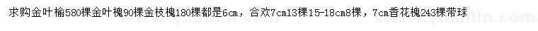 求購金葉榆、金葉槐、金枝槐等