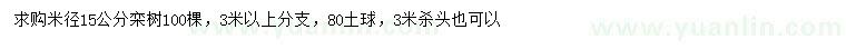 求購米徑15公分欒樹