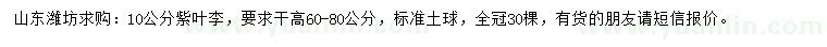 求購10公分紫葉李