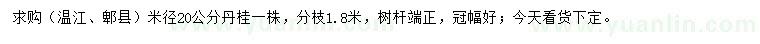 求購米徑20公分丹桂