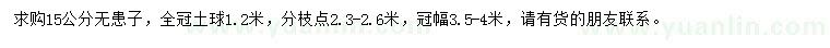 求購15公分無患子