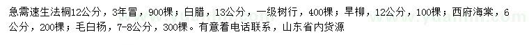 求購速生法桐、白蠟、旱柳等