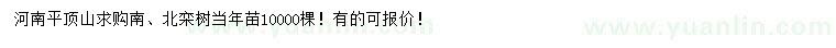 求購(gòu)南、北欒樹(shù)當(dāng)年苗