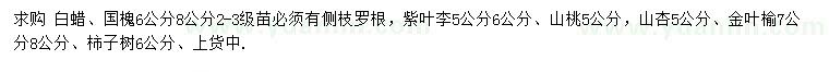 求購白蠟、國槐、紫葉李等