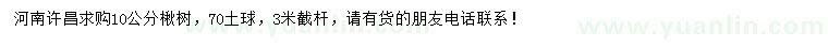 求購10公分楸樹