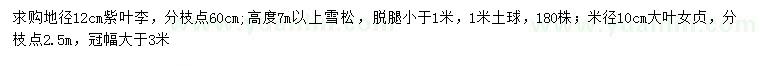求購紫葉李、雪松、大葉女貞