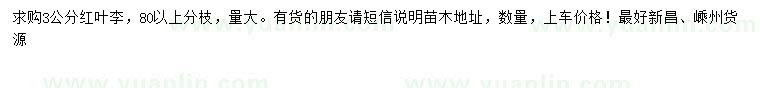 求購3公分紅葉李