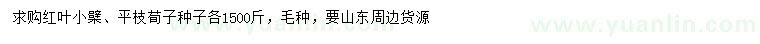 求購紅葉小檗種子、平枝荀子種子