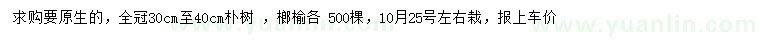 求購30-40公分樸樹、榔榆