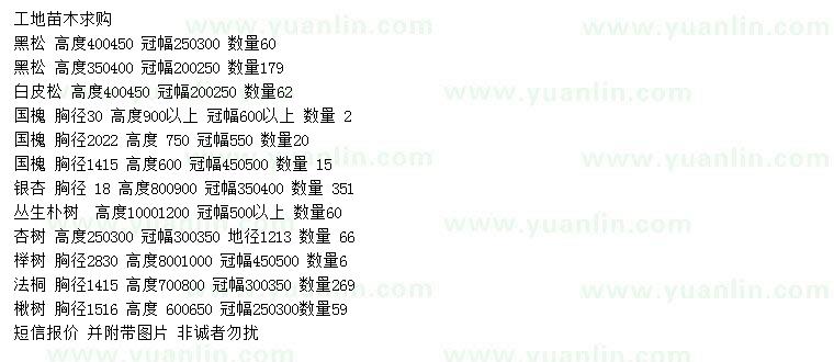 求購(gòu)黑松、白皮松、國(guó)槐等