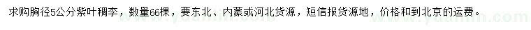 求購胸徑5公分紫葉稠李
