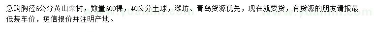 求購(gòu)胸徑6公分黃山欒樹
