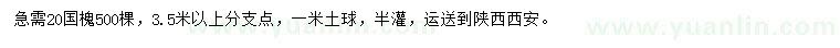 求購20公分國槐