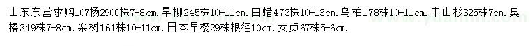 求購107楊、旱柳、白蠟等