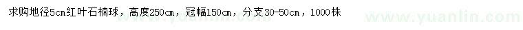 求購地徑5公分紅葉石楠球