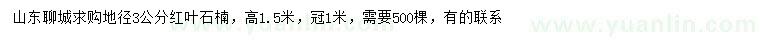 求購地徑3公分紅葉石楠