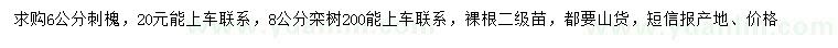 求購(gòu)6公分刺槐、8公分欒樹(shù)