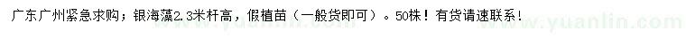 求購桿高2.3米銀海藻