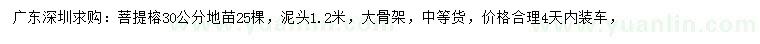 求購(gòu)30公分菩提榕
