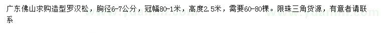 求購胸徑6-7公分造型羅漢松