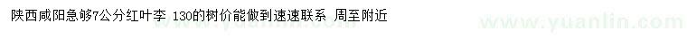 求購7公分紅葉李