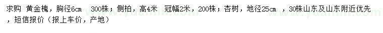 求購黃金槐、側(cè)柏、杏樹