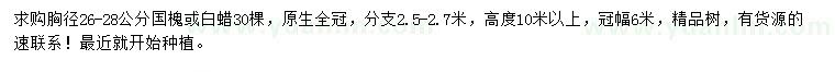 求購(gòu)胸徑26-28公分國(guó)槐、白蠟
