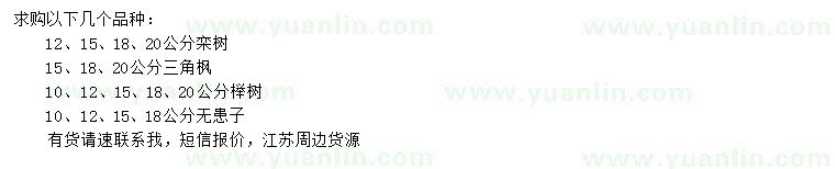 求購(gòu)欒樹(shù)、三角楓、櫸樹(shù)等