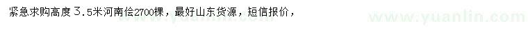 求購高3.5米河南檜