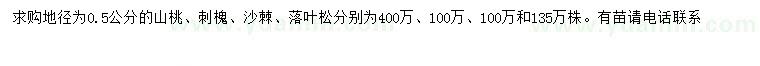 求購山桃、刺槐、沙棘等
