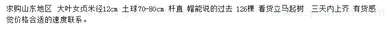 求購米徑12公分大葉女貞