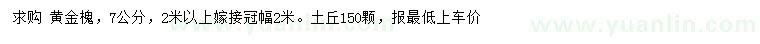 求購7公分黃金槐