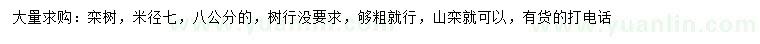 求購(gòu)米徑7、8公分欒樹