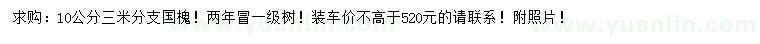 求購10公分國槐