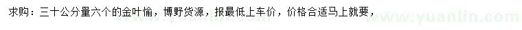 求購30公分量6公分金葉榆