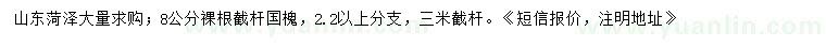 求購8公分國槐