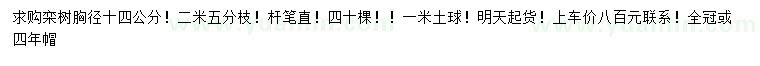 求購(gòu)胸徑14公分欒樹(shù)