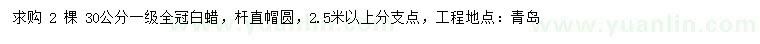 求購(gòu)30公分白蠟