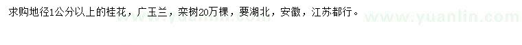 求購桂花、廣玉蘭、欒樹