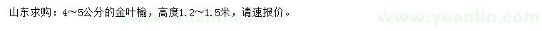 求購4-5公分金葉榆