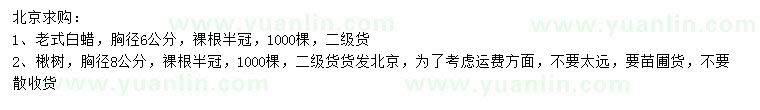 求購胸徑6公分老式白蠟、8公分楸樹