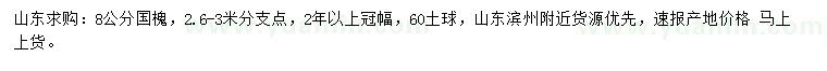 求購8公分國槐