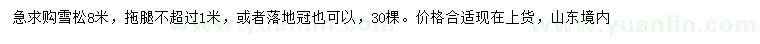 求購8米雪松