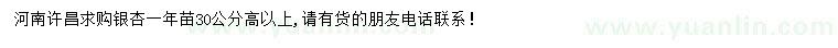 求購高30公分以上銀杏