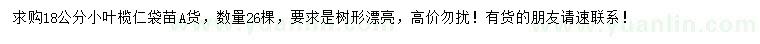 求購18公分小葉欖仁