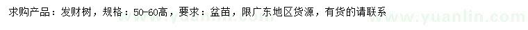 求購(gòu)高50-60公分發(fā)財(cái)樹(shù)
